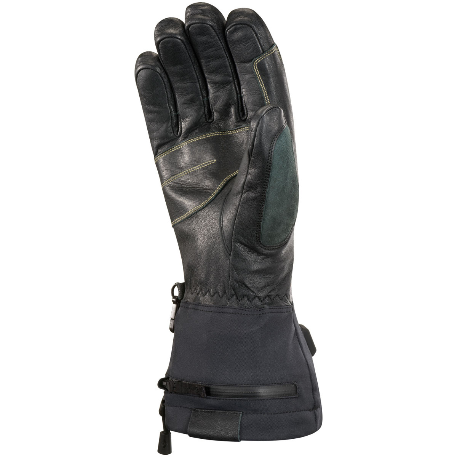 Black Right Palm
