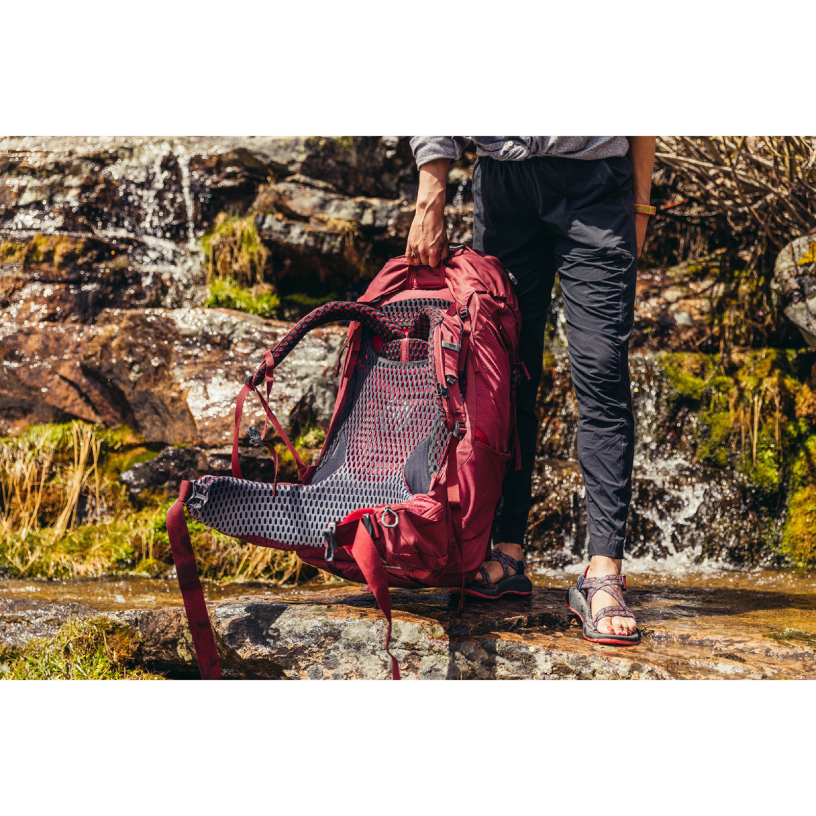 Bordeaux Red - Panou de spate