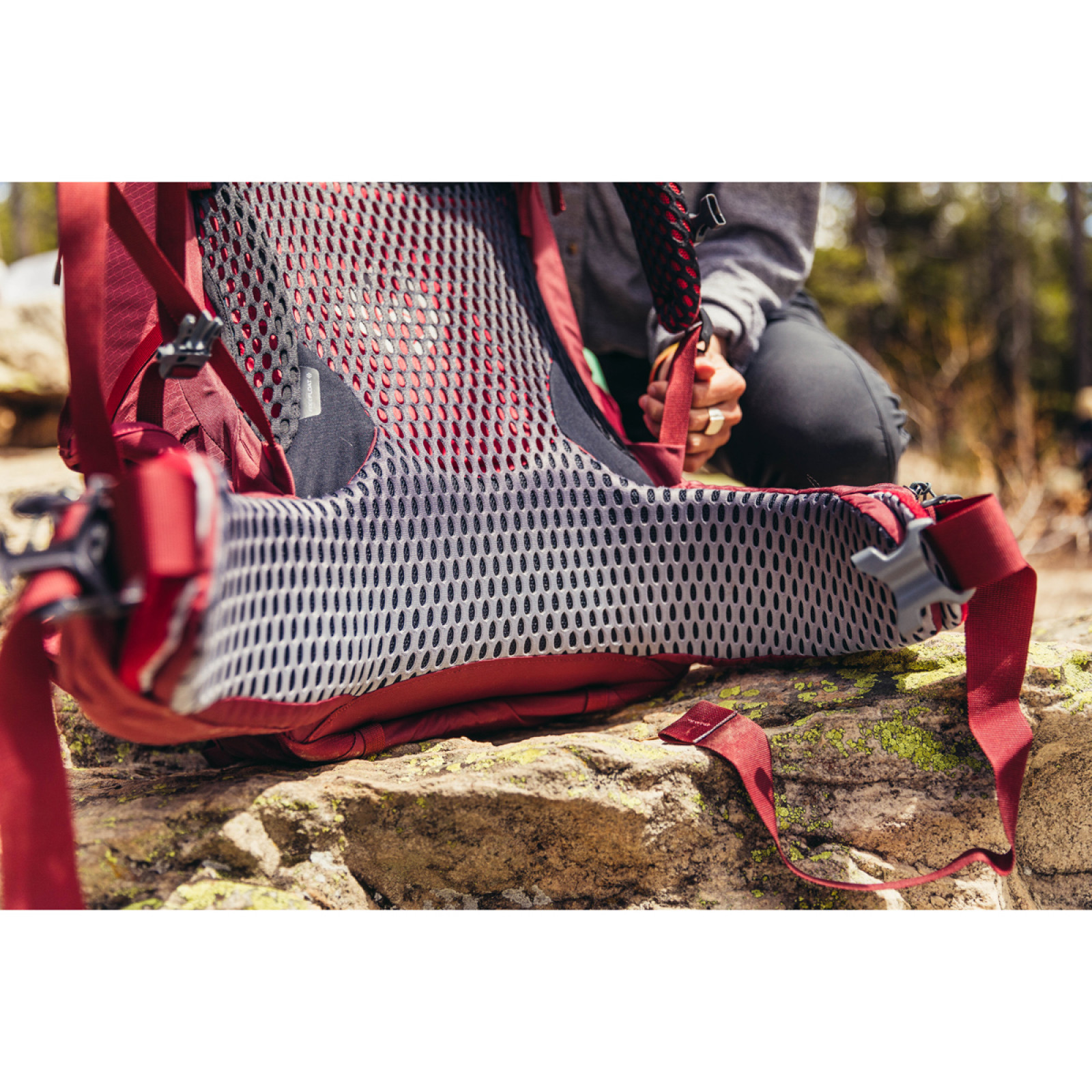 Bordeaux Red - Centura lombara