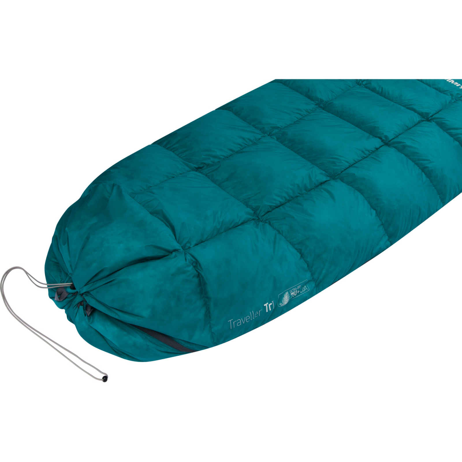 Teal - Compartimentul picioarelor inchis